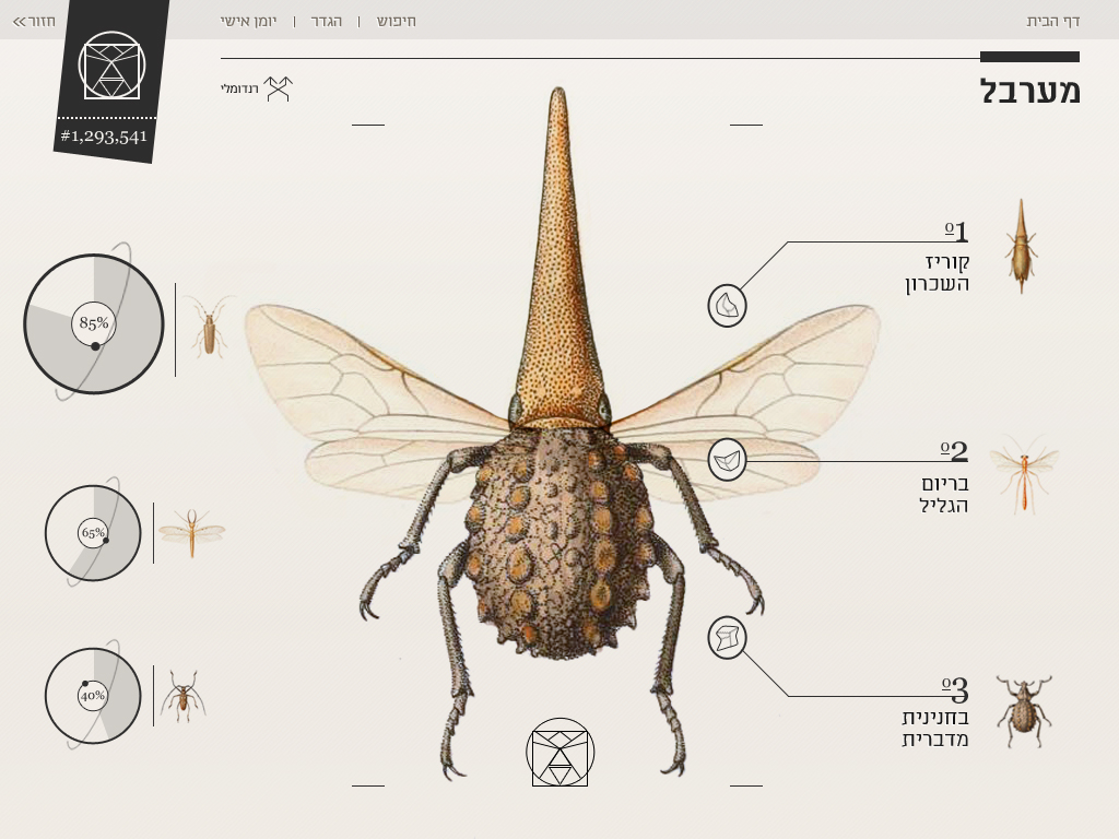 Application Design typography   israel hebrew  ipad app  insect  UI  UX  Interaction Design  graphic design