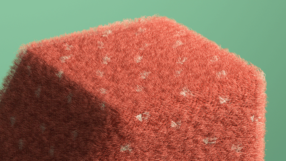 Christmas textures hair animation  3D motion graphics cinema4d octane