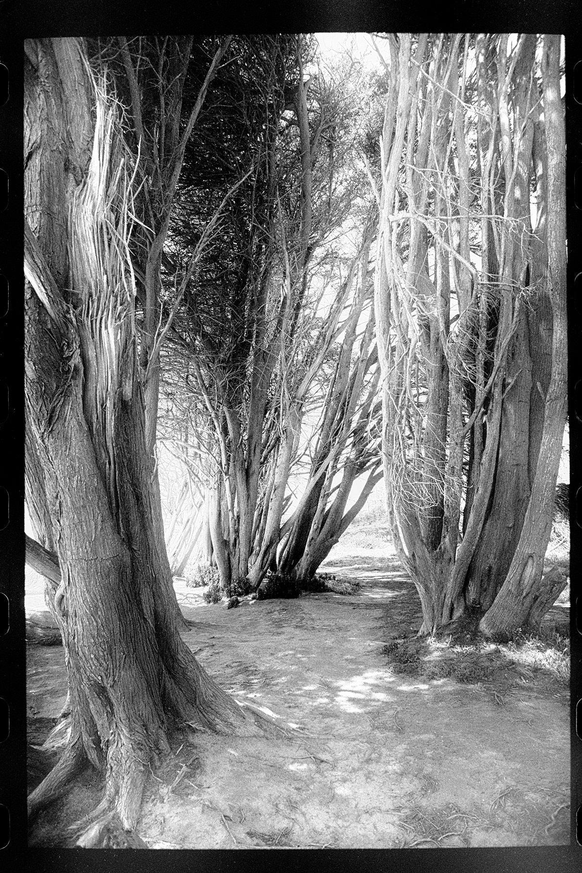 Landscape black and white 35mm film analog photography 35mm analog Nature