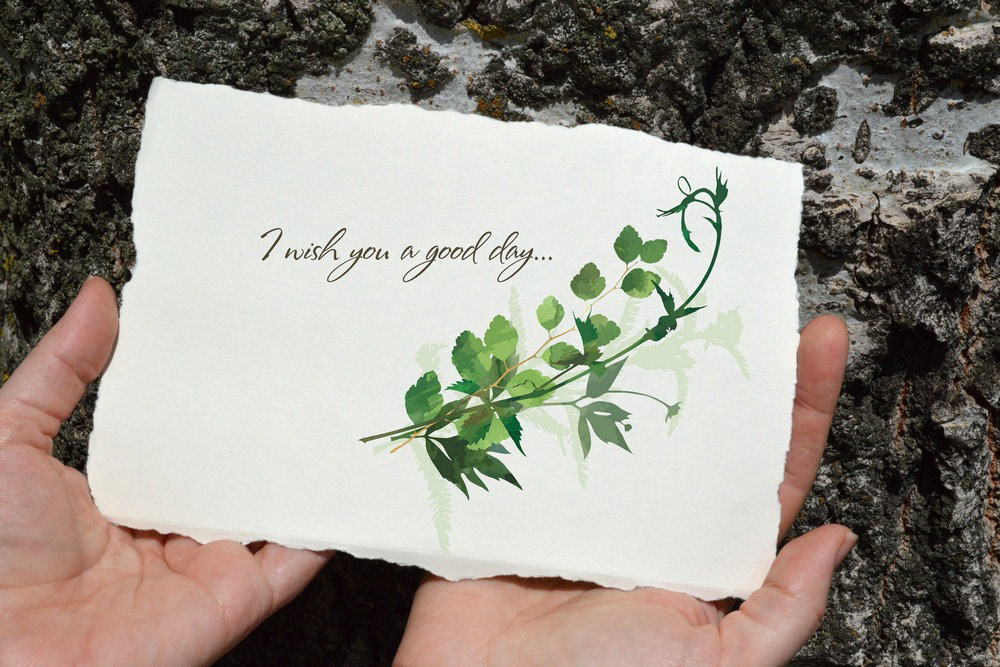 branches decorative grass green herbal leaves Silhouette vector watercolor wedding