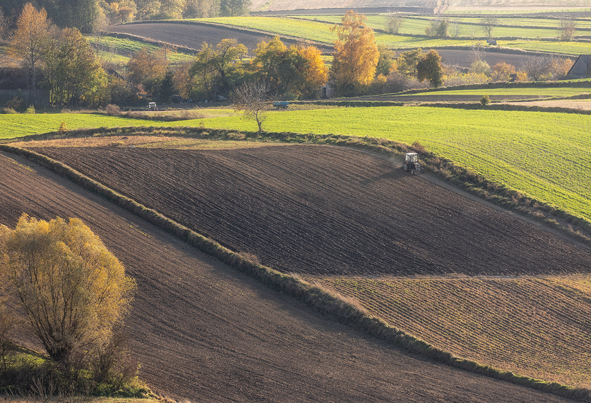 autumn countryside field Landscape painting   poland ponidzie rural Travel village