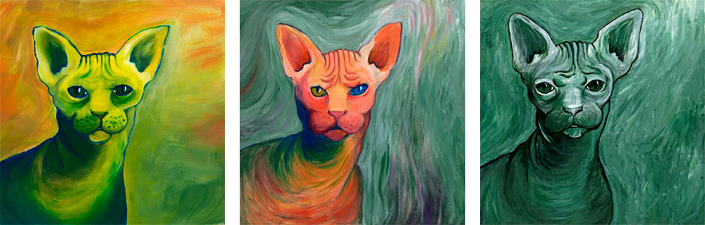 Cat naked animal brush Pet portrait paint Colourful  texture tina eggimann biel Switzerland