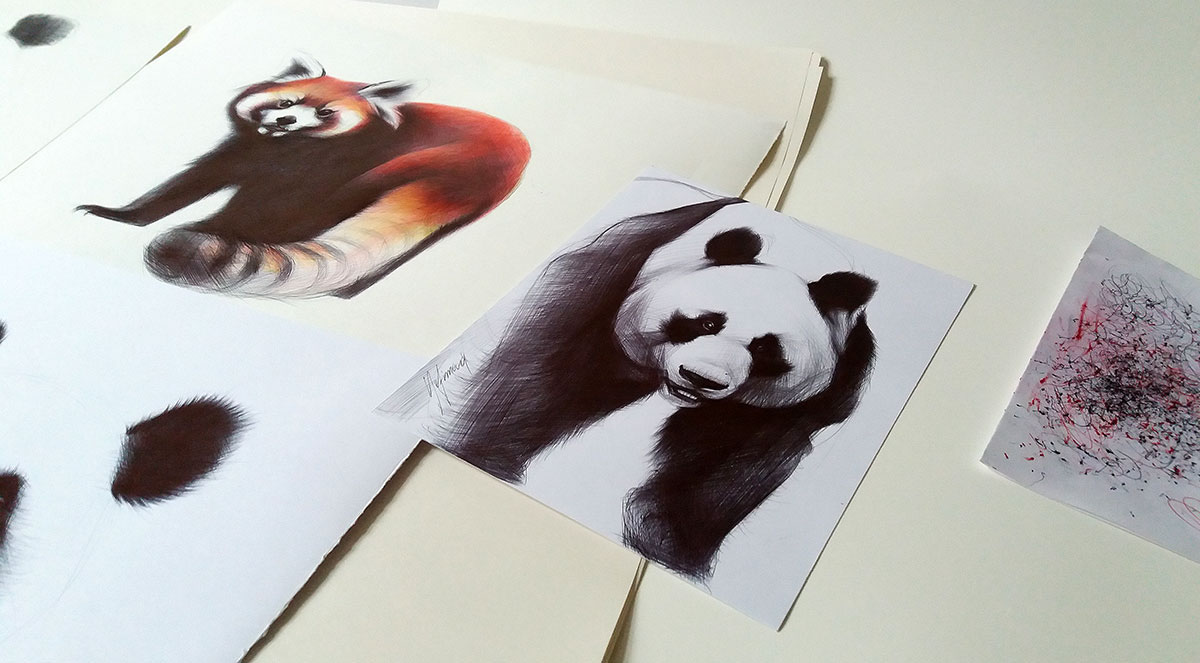 ballpoint pen Panda  animals bears yelena yefimova red panda sketching Classic classic drawings animalistic art