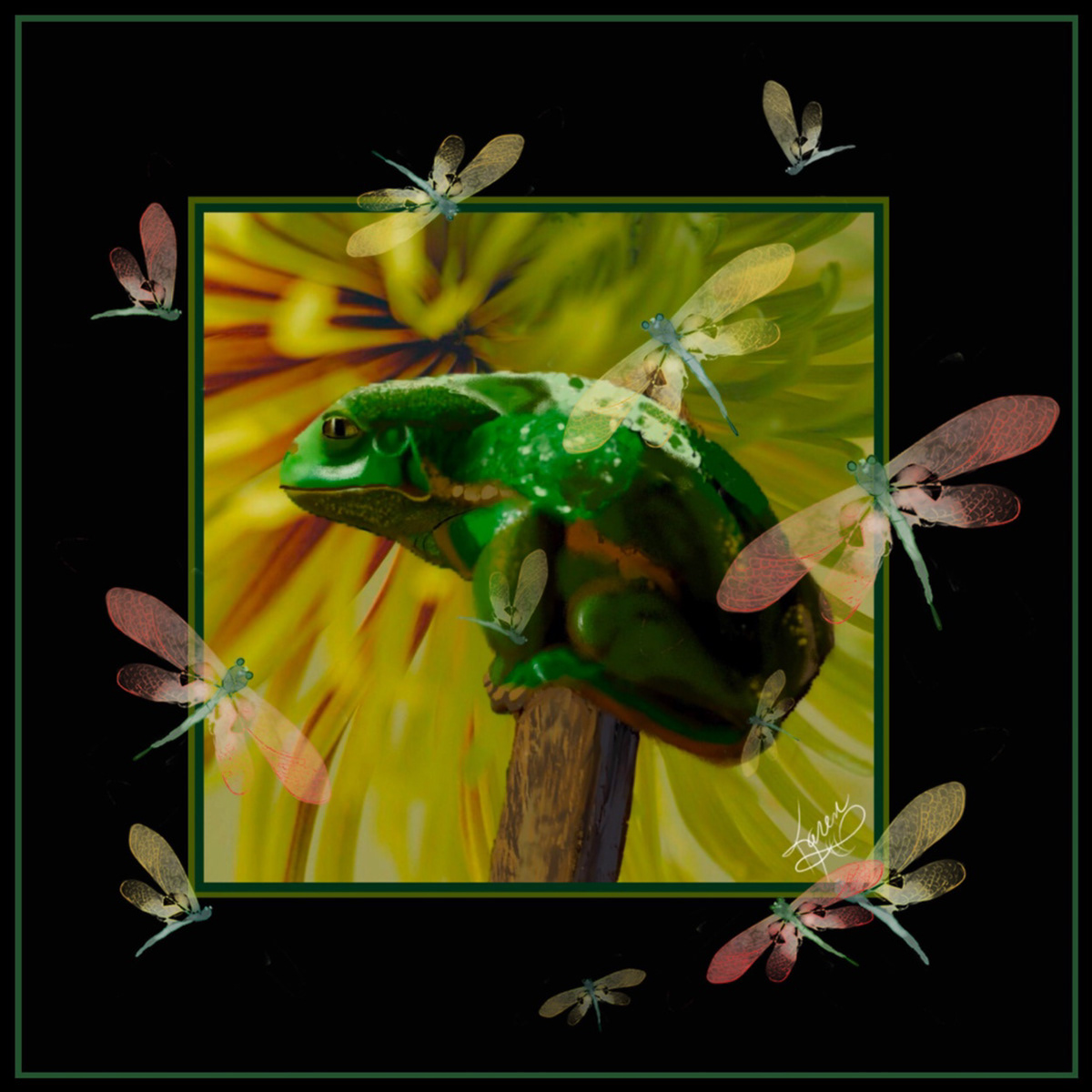 Digital Art  digital painting Drawing  illustrations animals Amphibian waxy monkey tree frog