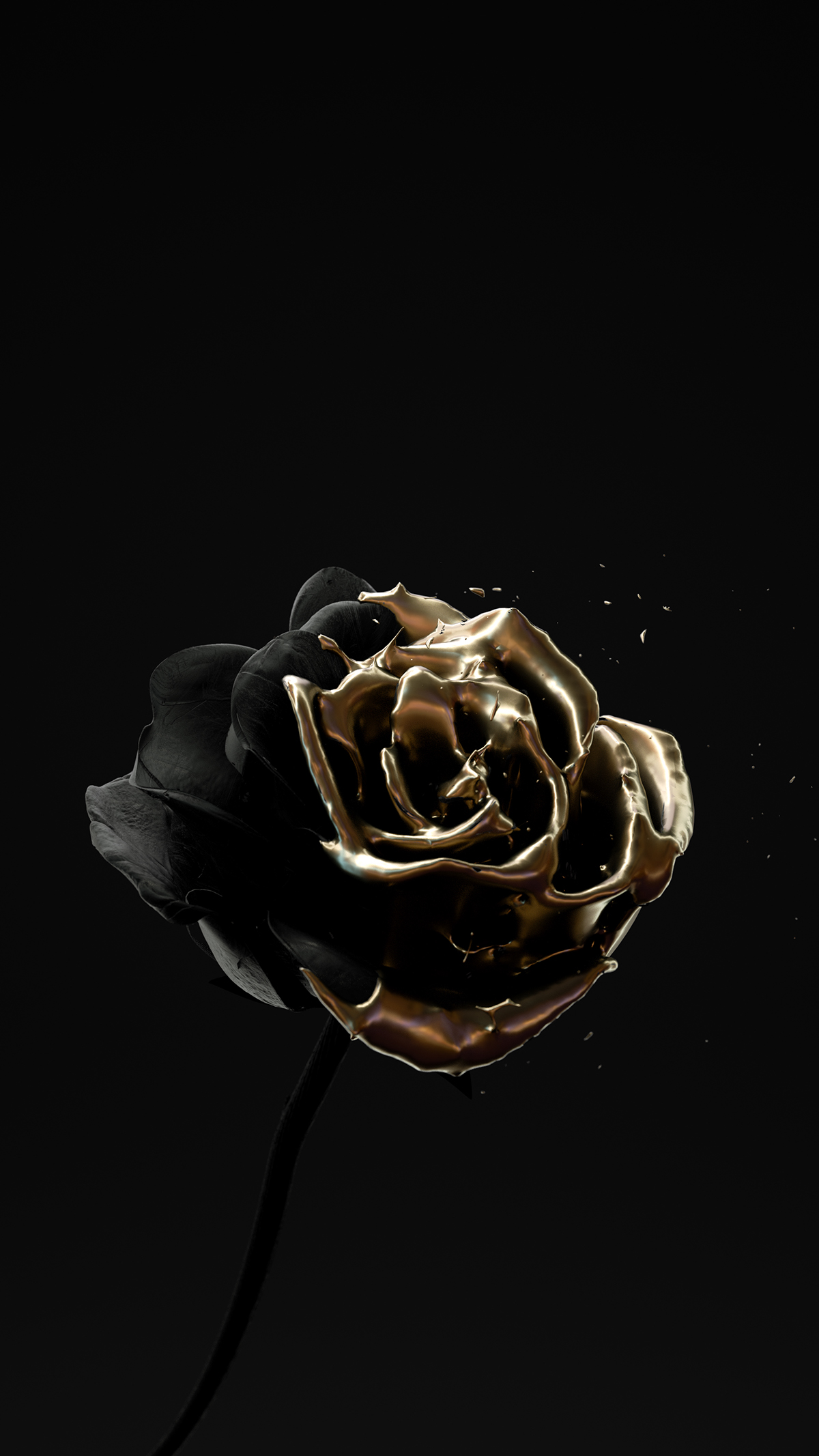 Roses Are Dead – Vol. 4 “Black and Gold” on Behance