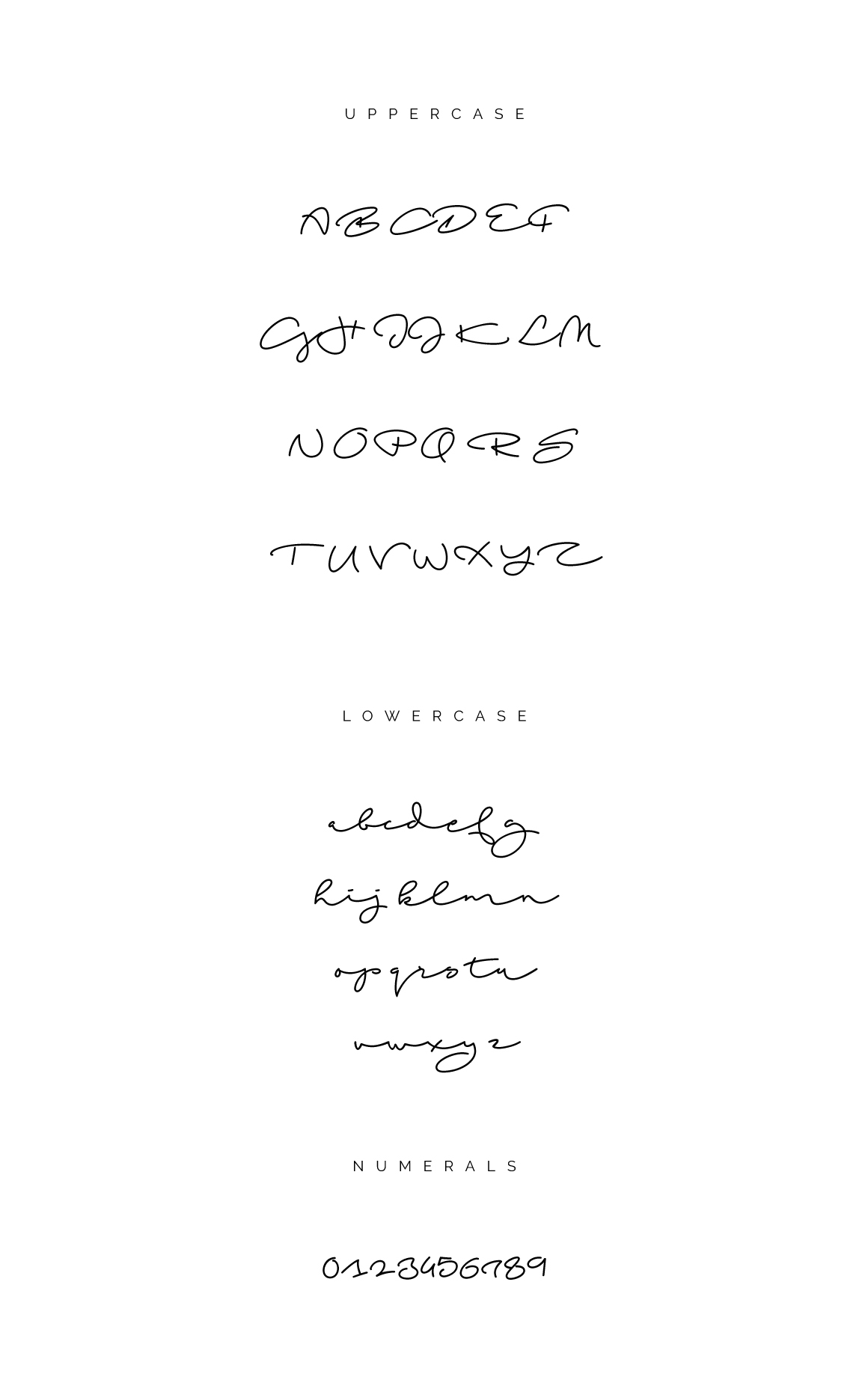free freebie font fonts handwritten beach Script wedding brand logo