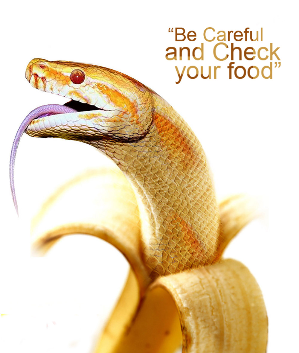Food  careful poster book magazine design creative snake banana