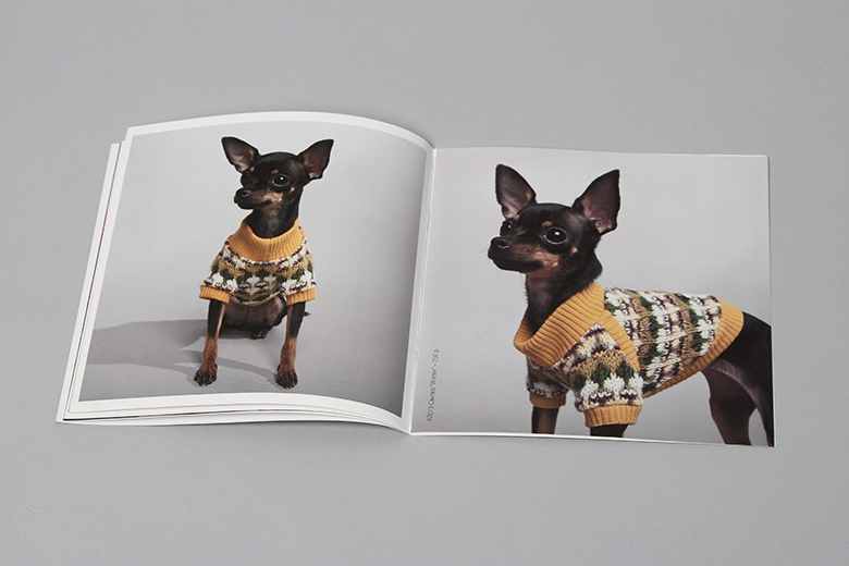 identity photo shooting catalog design dogs Clothing terier
