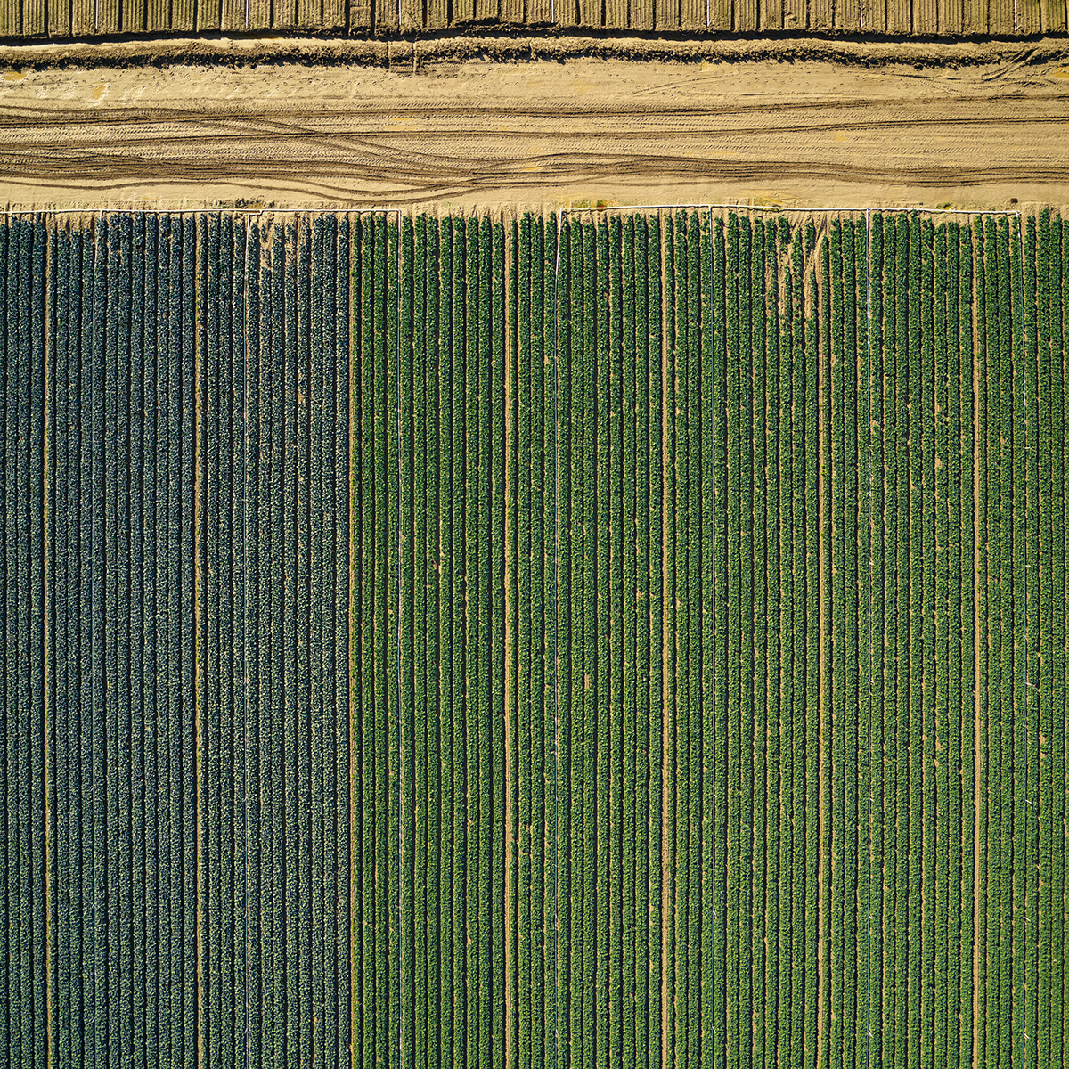 agriculture farm Aerial Photography art land patterns Landscape Beautiful California