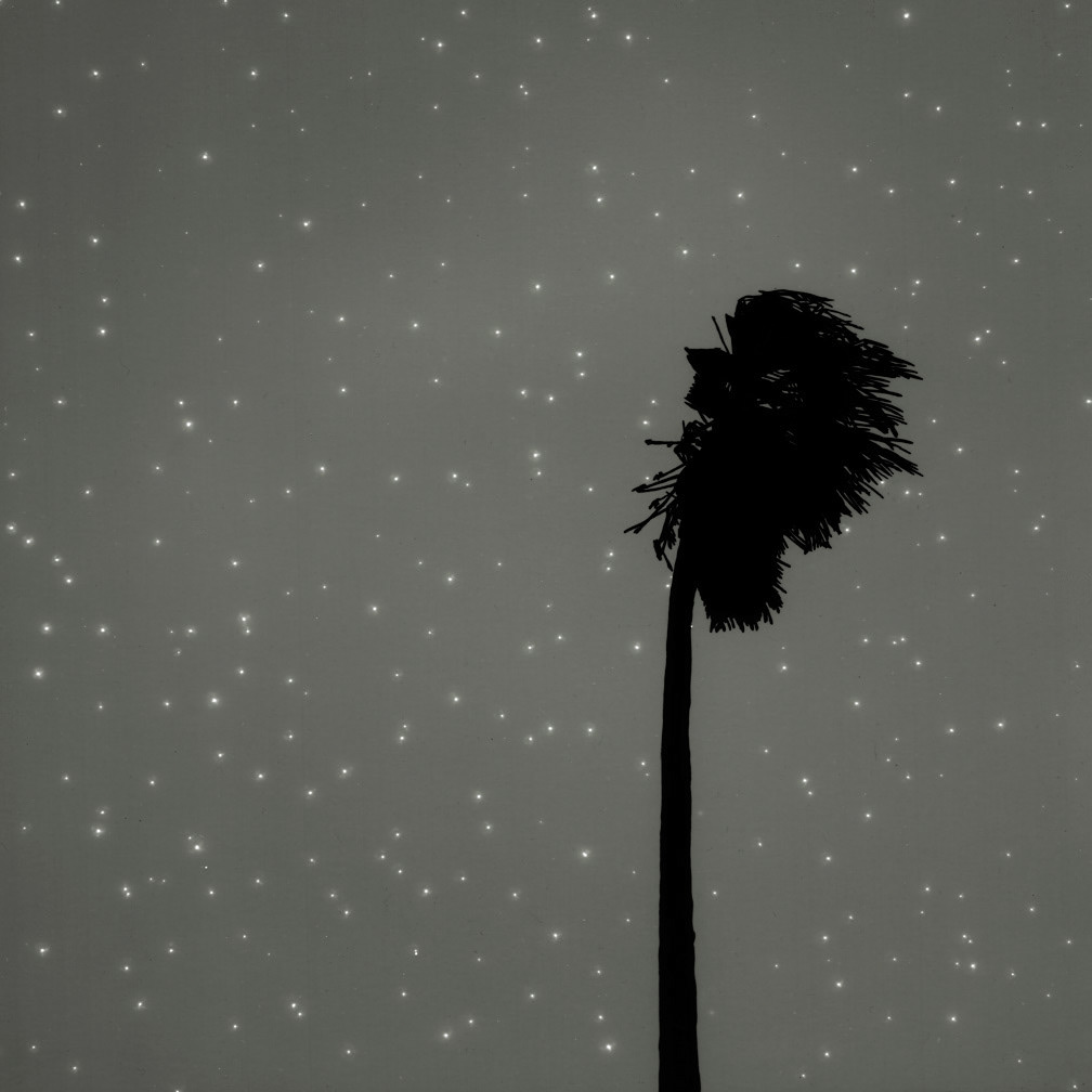 Landscape Photogram  oldschoolphotography  b&w powerlines  palm trees  stars  Skies  windmills  rollercoaster  mountains trees black and white constellation