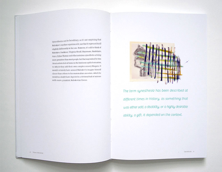 synesthesia Portfolio Center book design design art