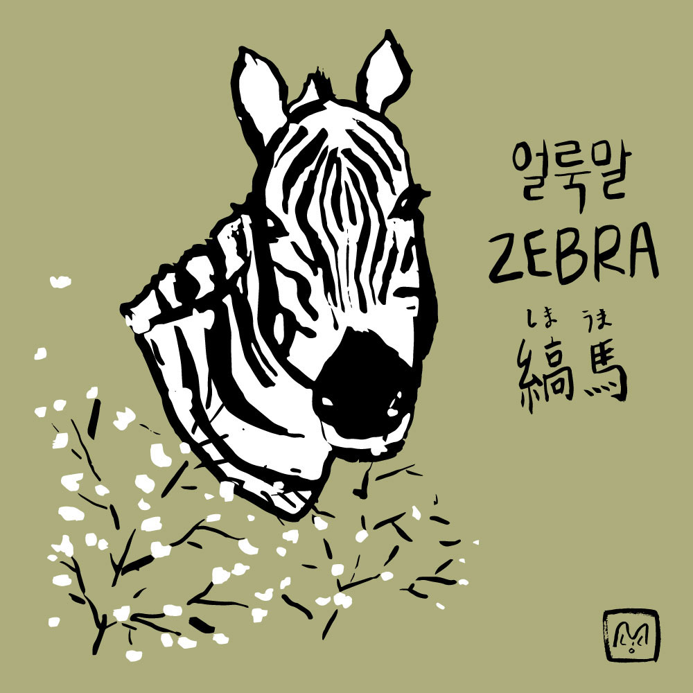 zebra baby'sbreath animal flower