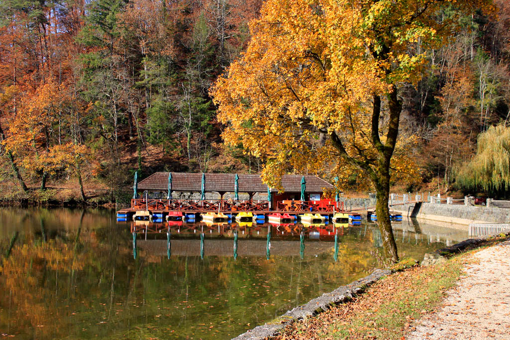 Photography  photojournalism  Croatia varazdin trakošćan Castle lake autumn Landscape
