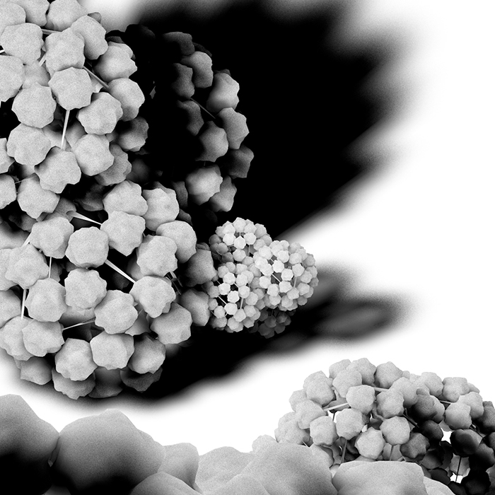 nanoscopic microphotography Render Experimentation Photography  CGI graphic 3D VisualDesign fantasy