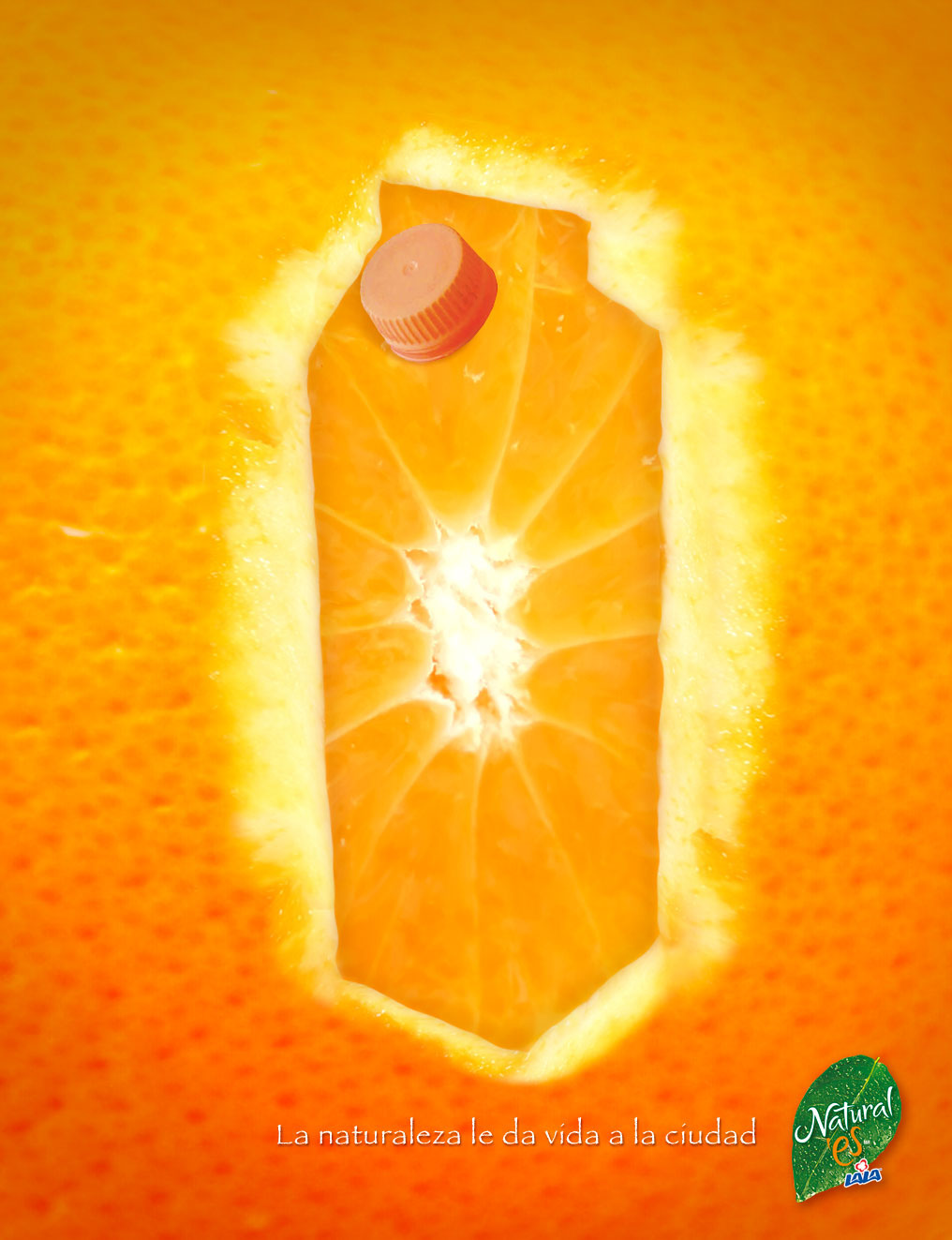 revista lala tinta de olor jugo naranja hoja razgar pelar tinta Publicacion fruta CITRICO natural naturaleza bebida