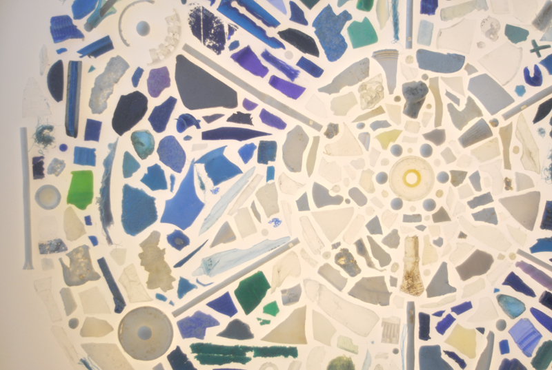 Pacific gyre plastics upcycled art ocean pollution Diatoms phytoplankton