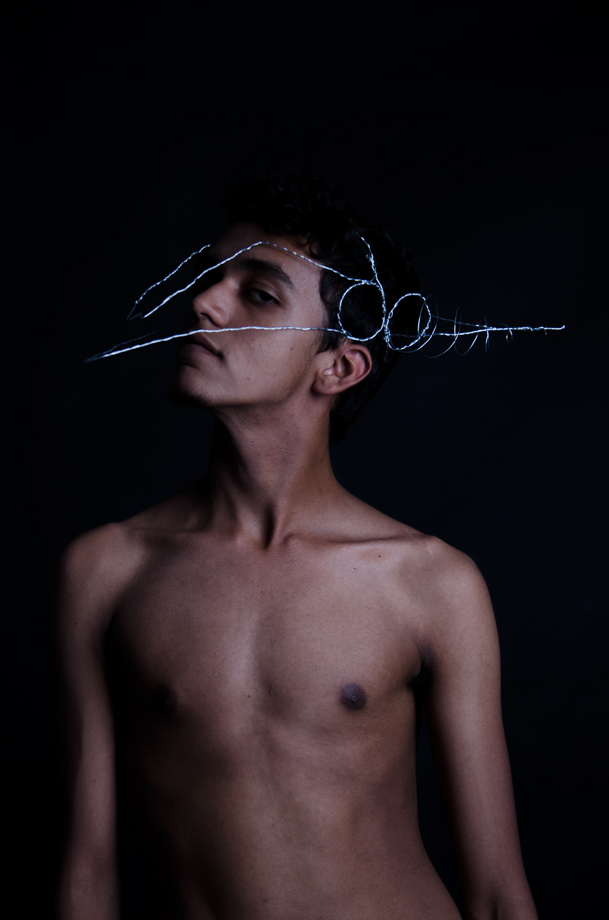 taurus Astrology self-portrait horns wire