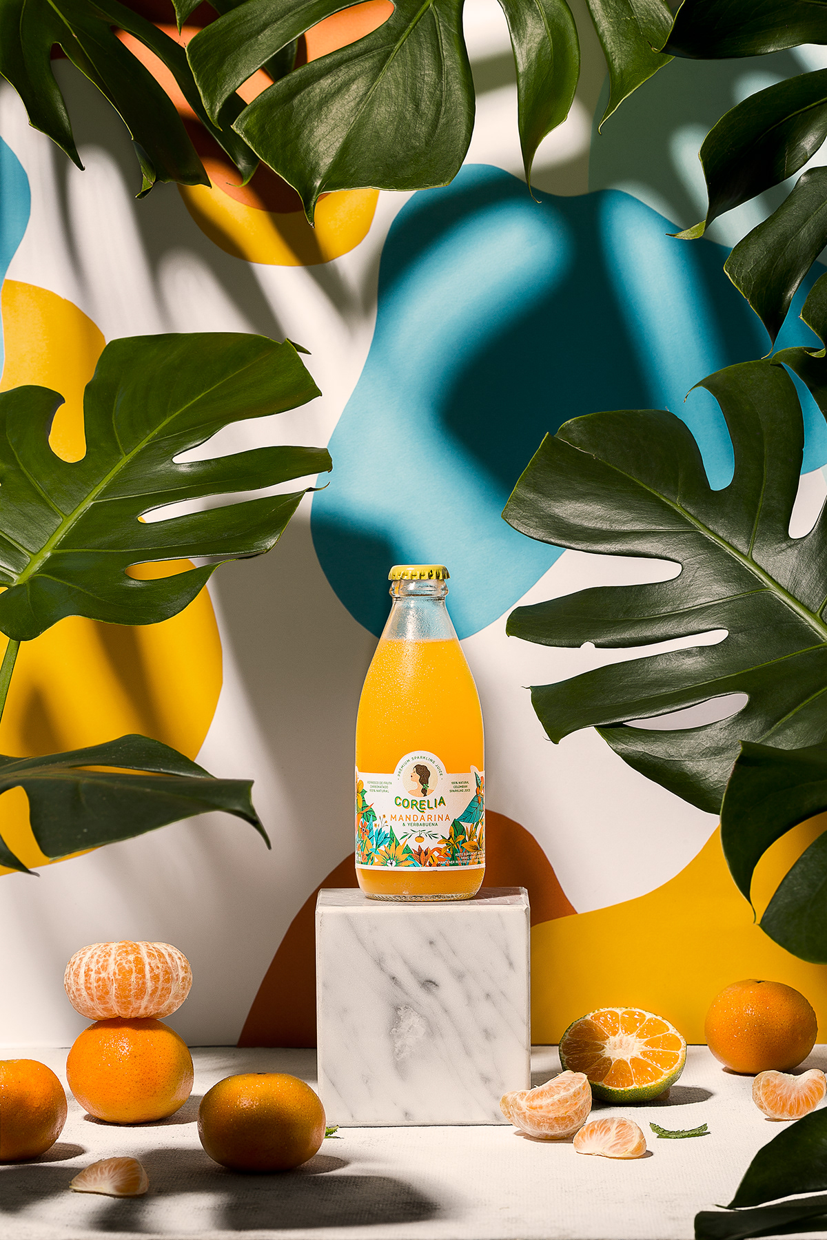 Food  Photography  Tropical juice product shapes Nature styling  art direction  food styling