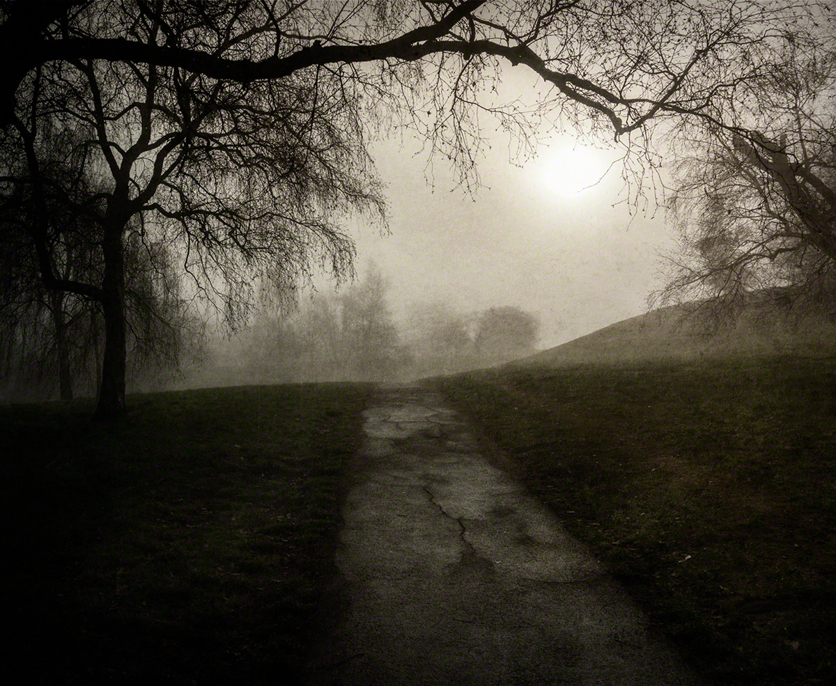 Creative Photography fog Greenwich Park Landscape London Nature Photography  pictorialism pictorialist photography winter scenes