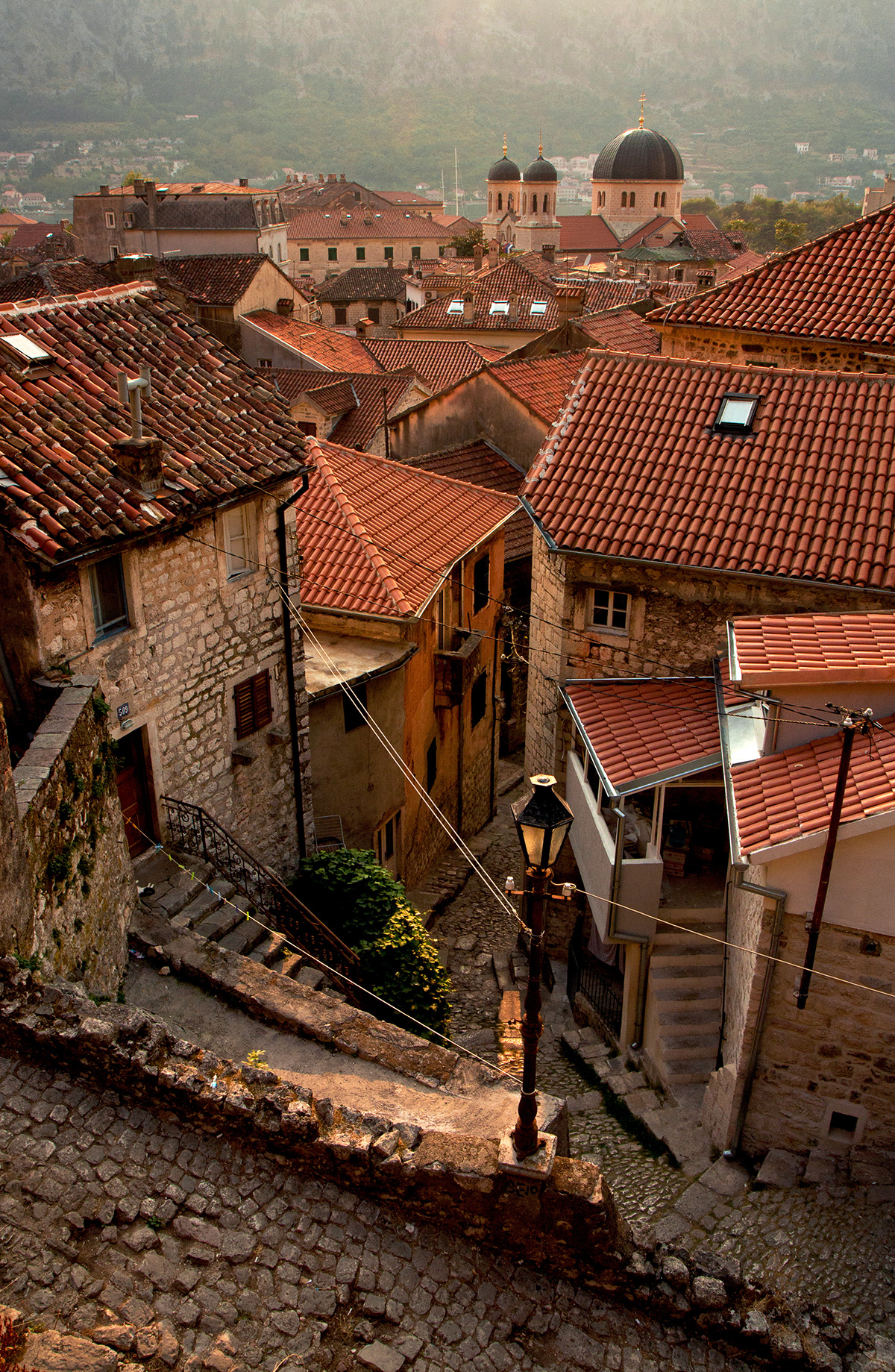 kotor montenegro town city old town travel destination Landmark Europe