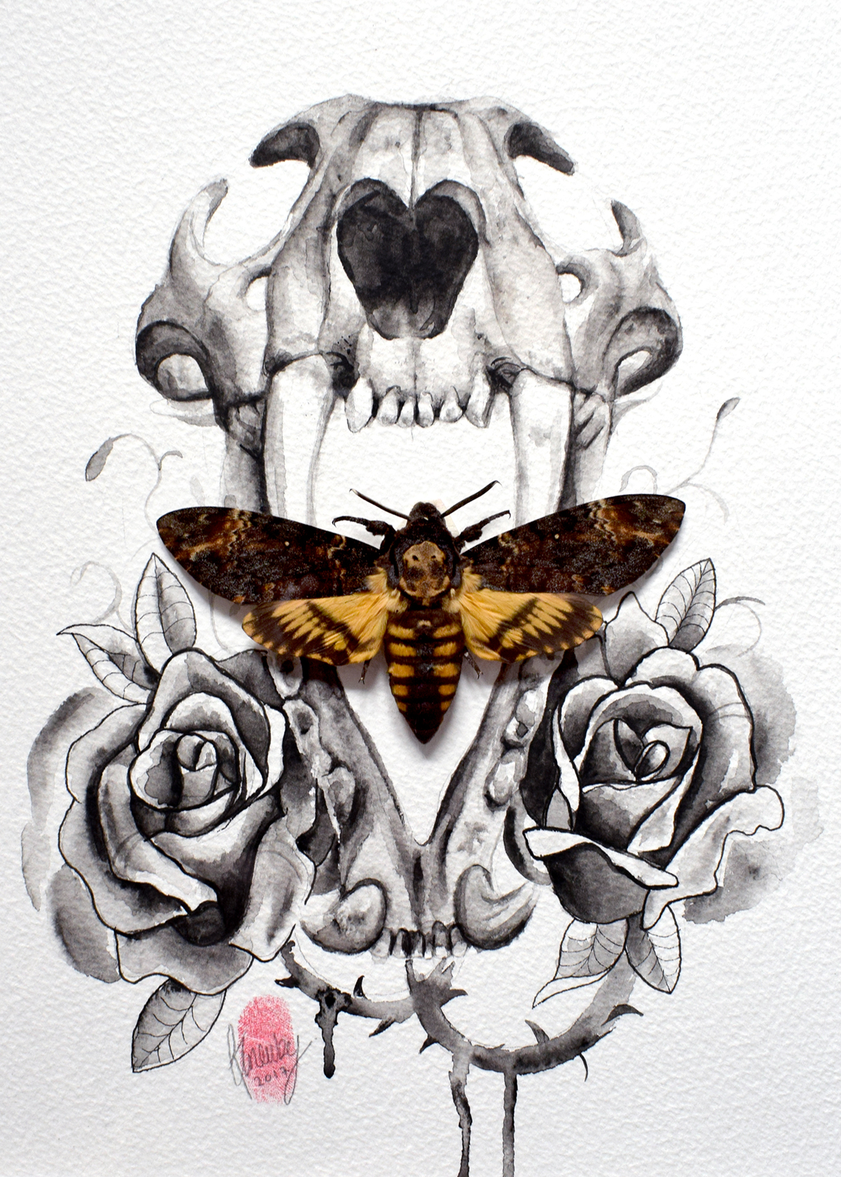 watercolour watercolor skull tattoo taxidermy moth animal insect Original Art leopard