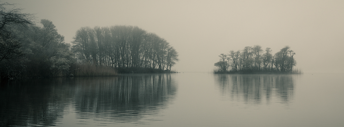Adobe Portfolio Nature fog light water Landscape wide angle