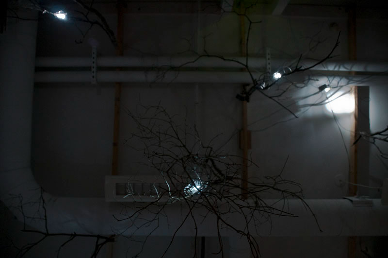 trees interactive trees Responsive responsive environments neurons roots
