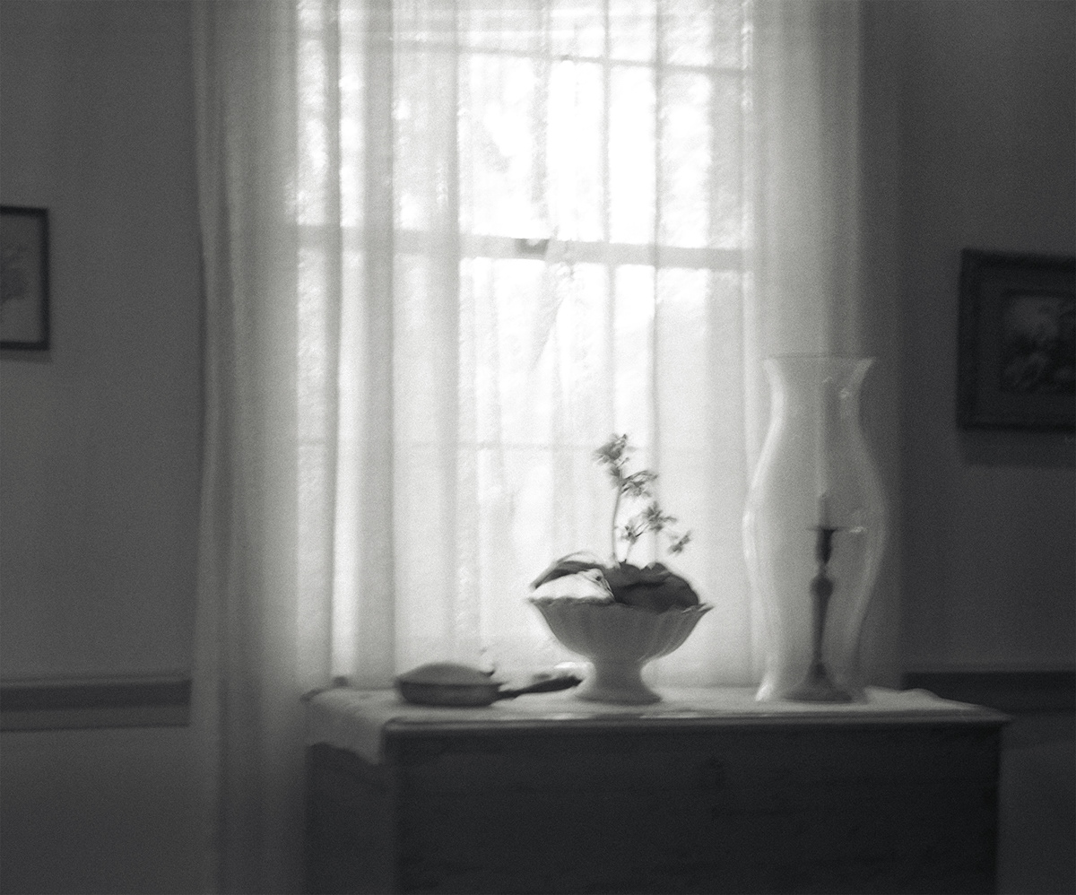 alabama analog analog photography black and white Film   film photography kodak Mississippi Plantations south