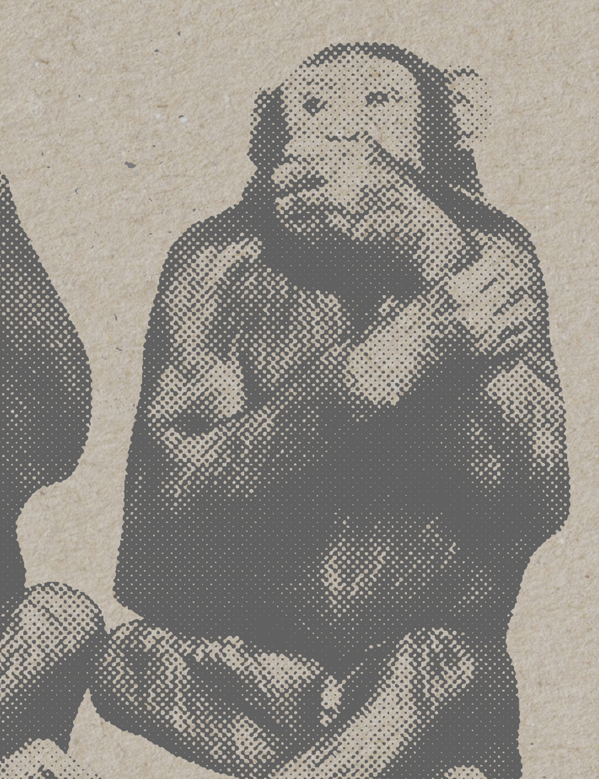 monkeys apes halftone print texture offset graphic letterpress craft RECYCLED Board stamp typographic evil