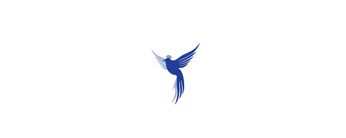 bird blue bird Identity Design pattern design  Logotype logo Logo Design branding  monogram initials