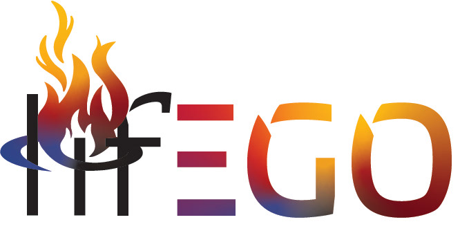 logo branding  branding guide lifego