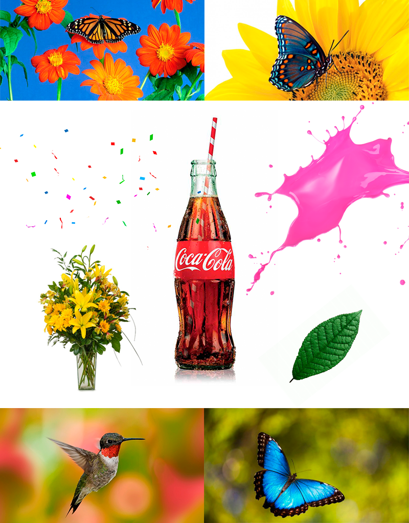 Coca Cola adobe photoshop felicidad retoque digital Santo Tomas Albingraphics Félix Farías design mariposas Campo Flores bird