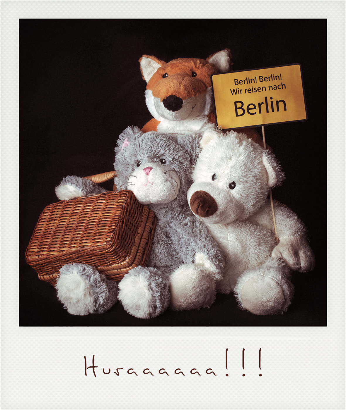 berlina Berlina Schaf berlin POLAROID cute toy bear sheep FOX muppet photo story