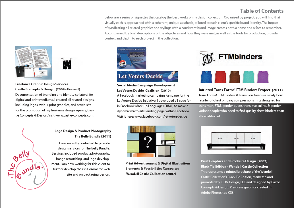 print portfolio design booklet Castle Concepts & Design InDesign design collection