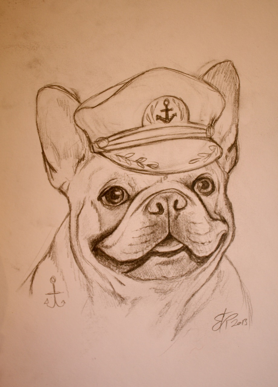 dogs Pug pug life gangster dog dapper dog boston terrior French Bulldog sailor dog Pet Pet Portrait animal portrait