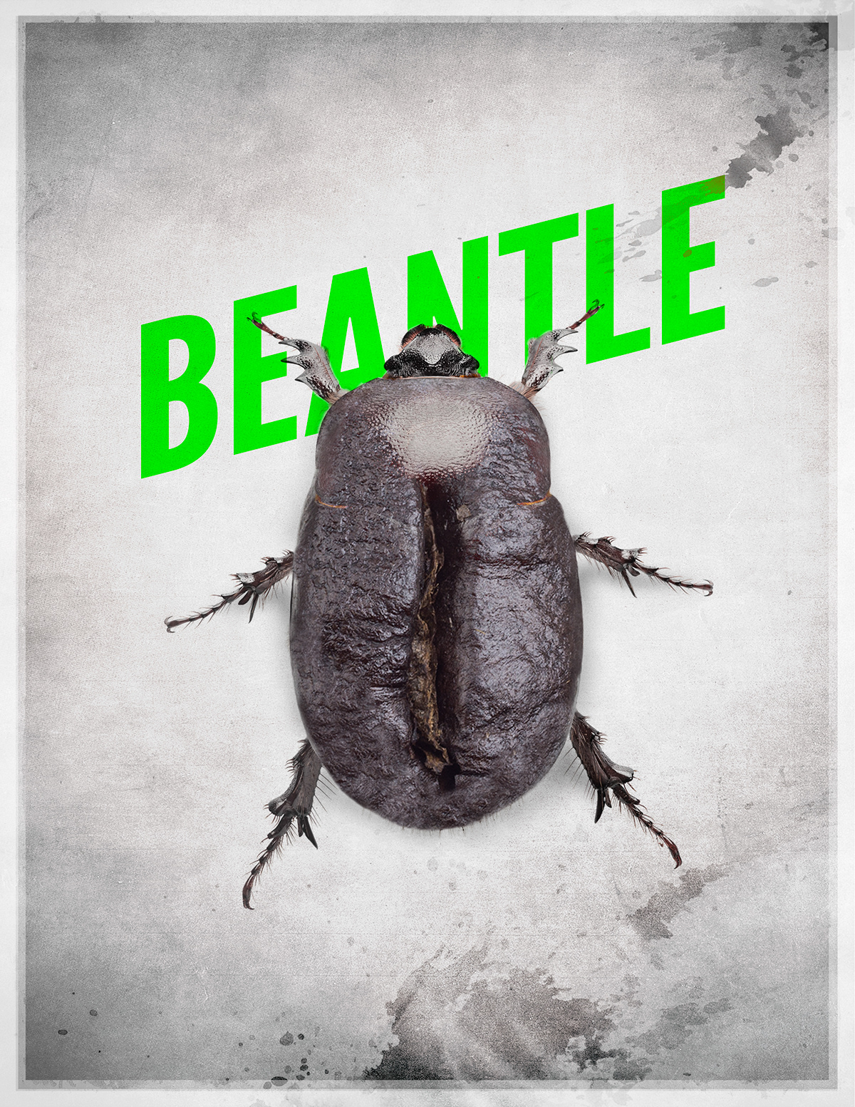 Coffee  bugs  beetles  abstract  graphic design Digital Art  art creative conceptual Unique