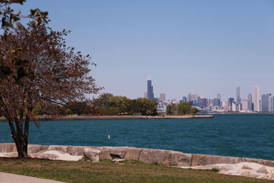 Photography  chicago Nature lakefront lake summer summertime pictures city skyline