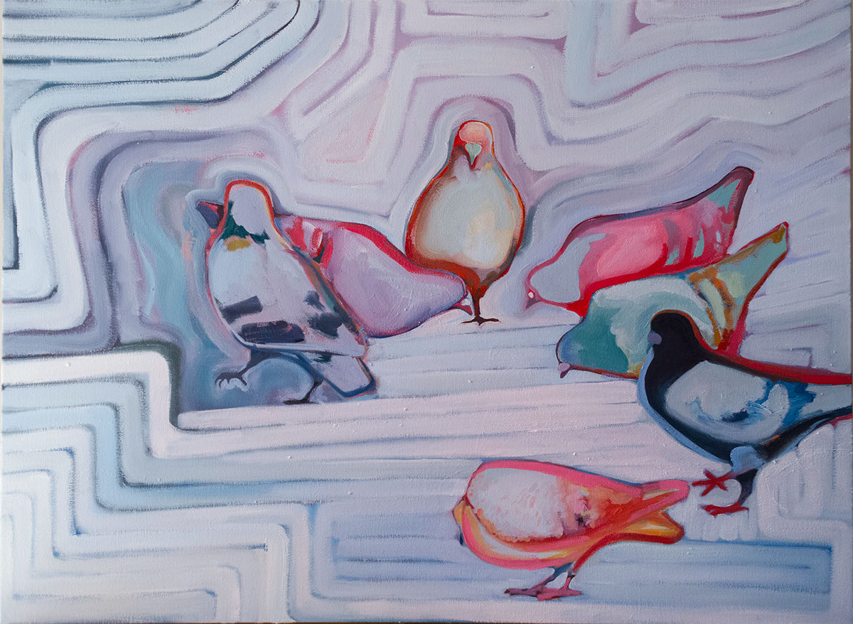 fine art oilpainting pigeons contemporaryart abstraction