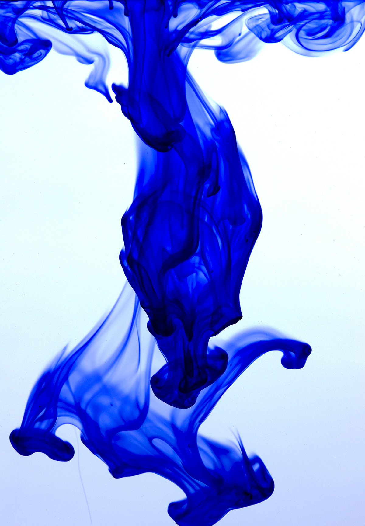 Liquid organic ink drops blue aesthesia water Lucid Dream flowing saturated wet Beautiful crisp Sharp strong