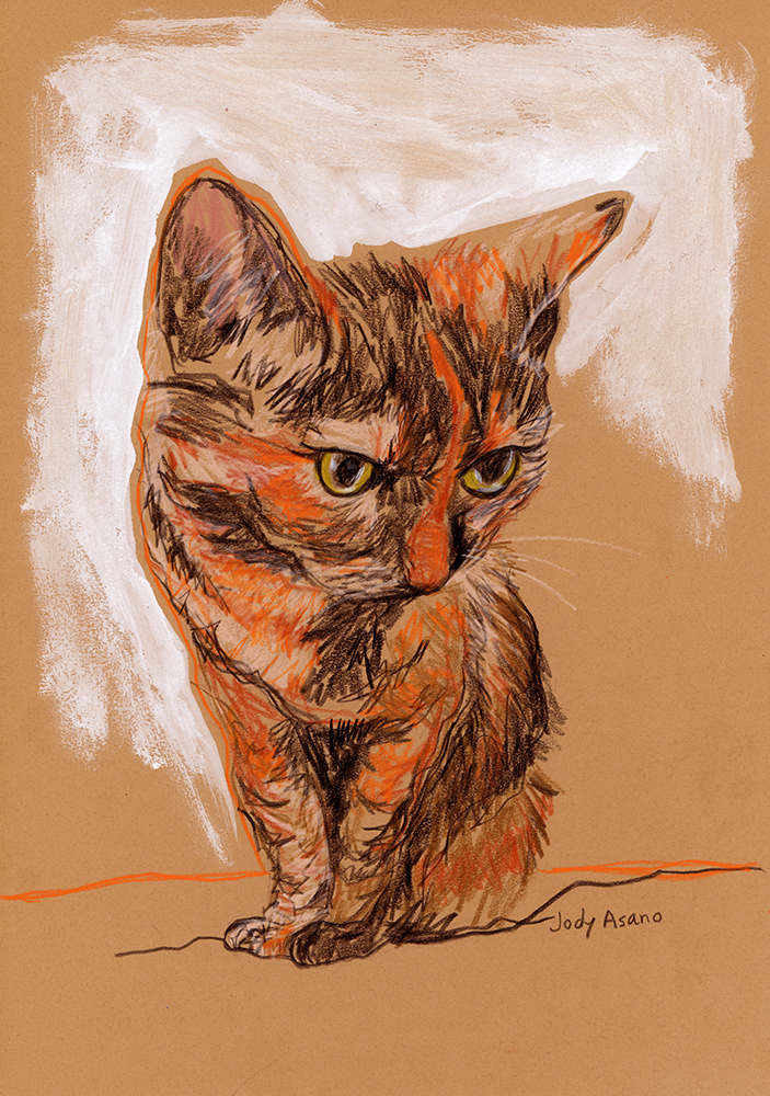 Cat colored pencils crayon Drawing  Goauche ILLUSTRATION  jodyasano petsonpaper portrait Tortoiseshell cat