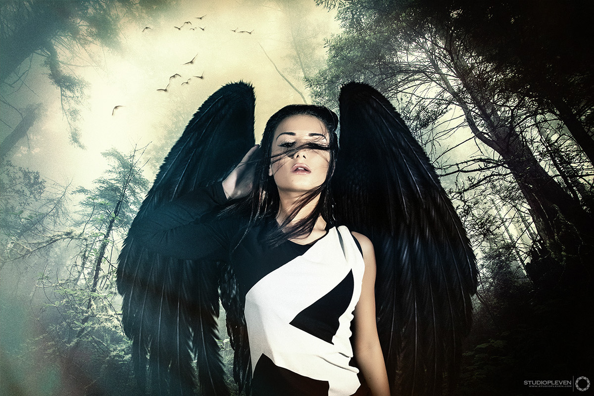 angel forest black wings girl light