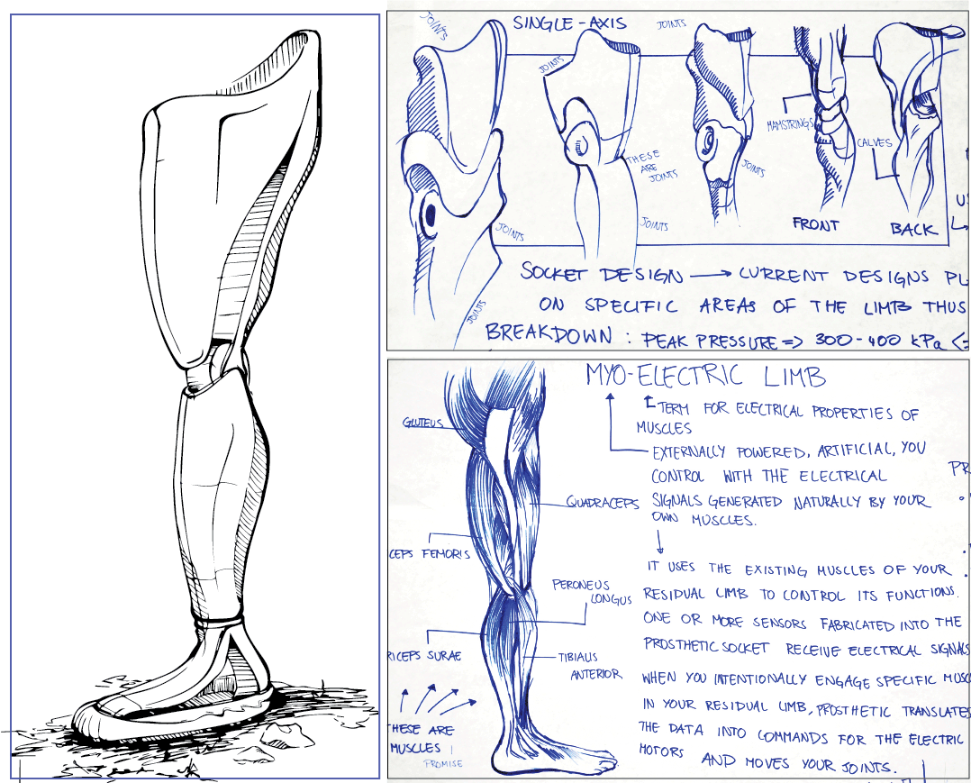 Adobe Portfolio prosthetic leg design industrial design  experiment product design  limb