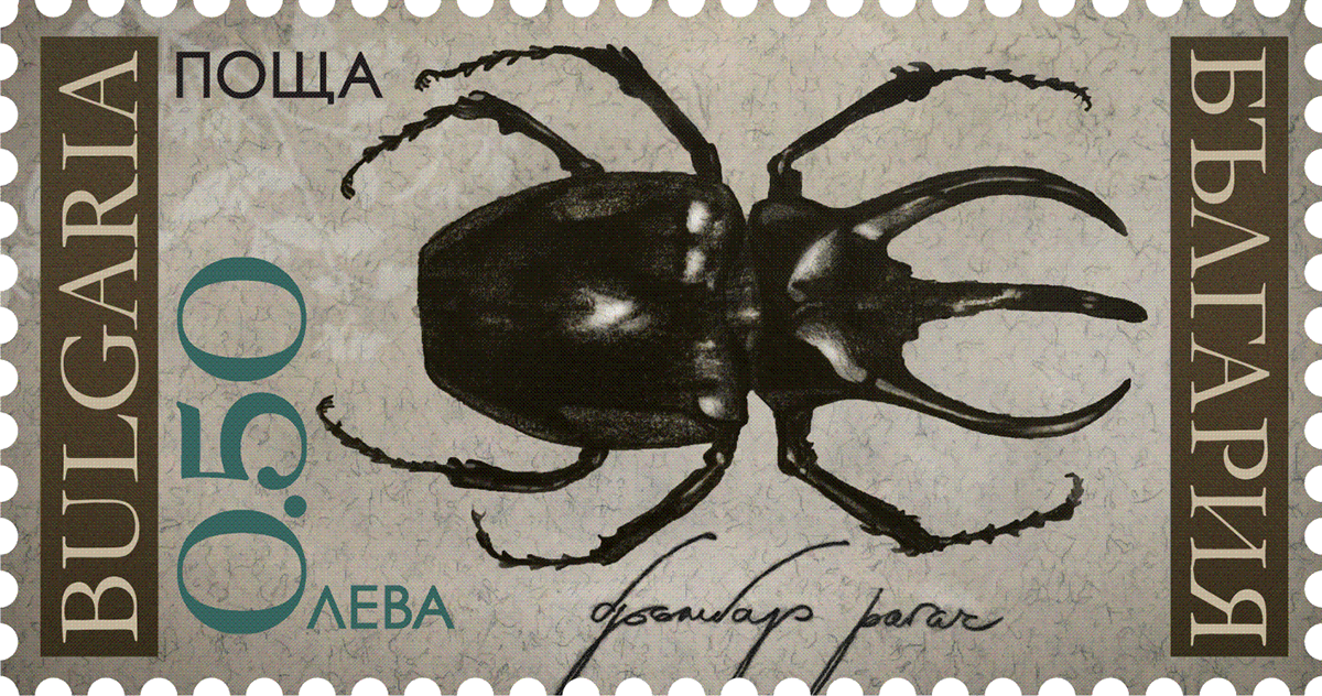 beetles beetle post stamp Post Stamp bug Philately