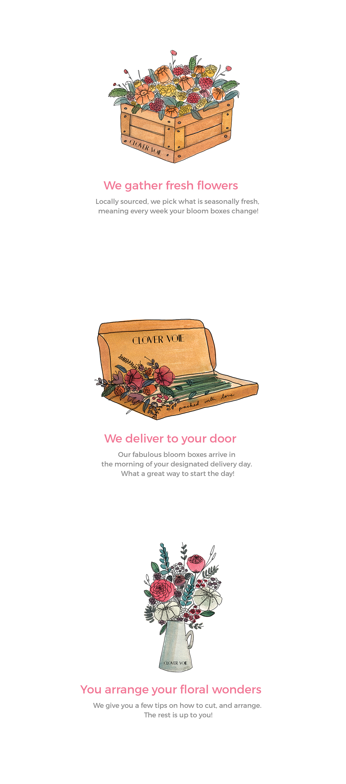 florist Flowers floral Watercolours service illustrations handpainted subscription delivery
