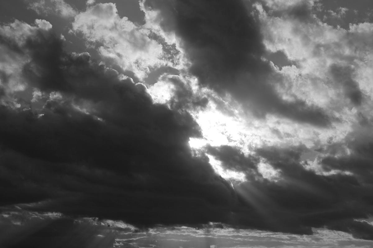 SKY Landscape clouds black pics White Photographie Roses color black and white Nature monochrome instagram
