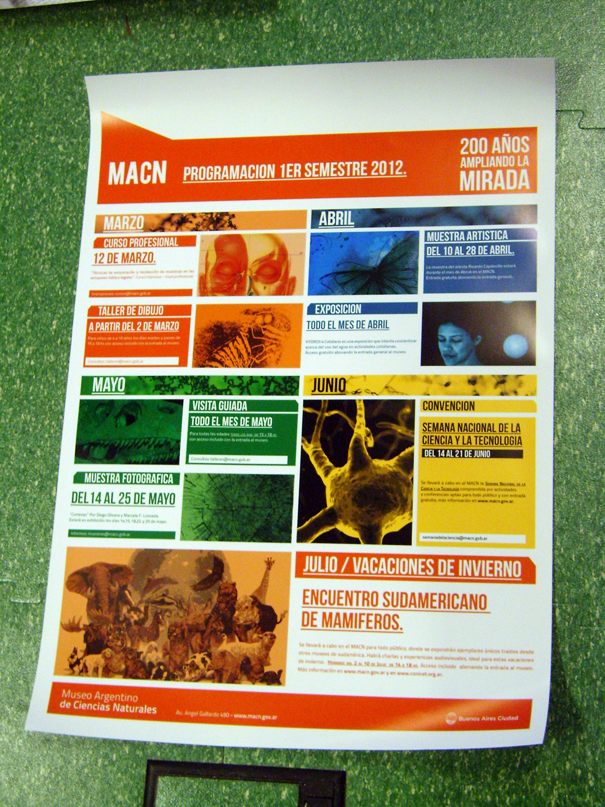 MACN jotade tesis natural history museum natural history identity identidad brochure museo argentino ciencias ciencias naturales macro museum