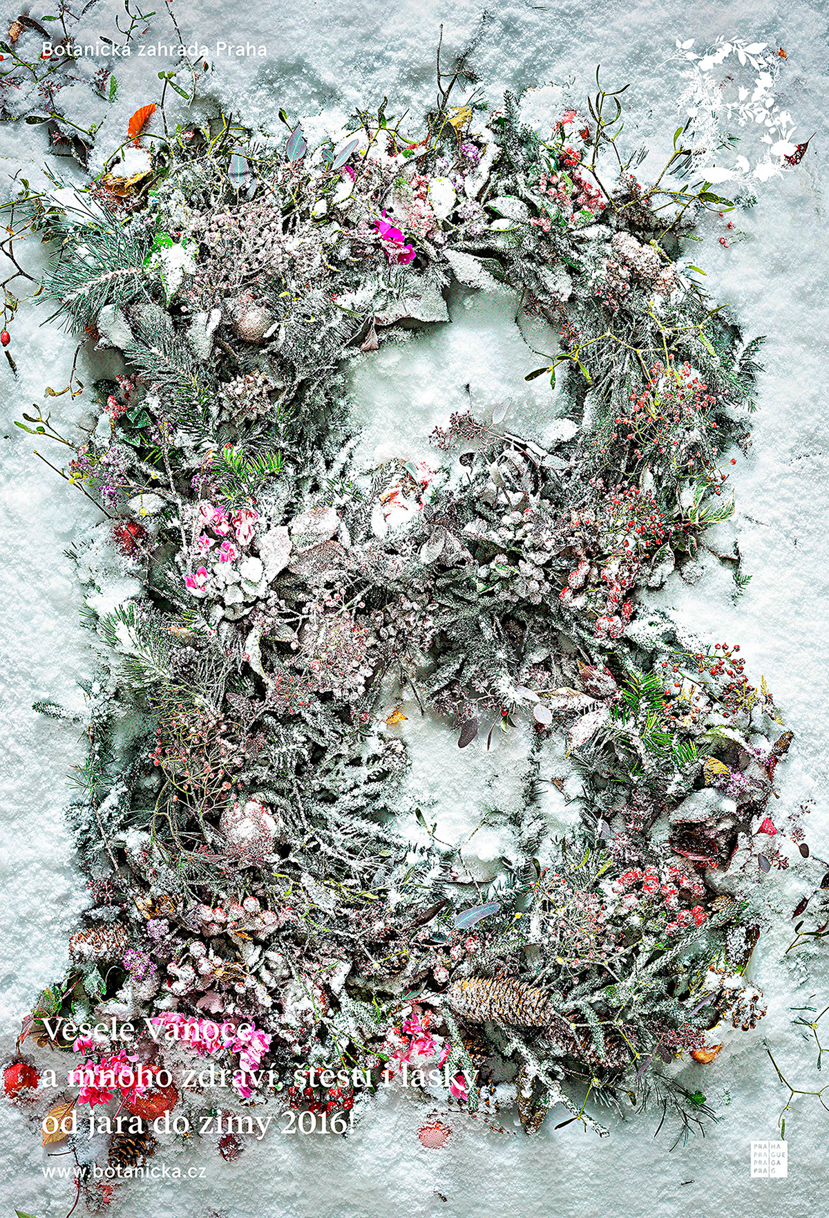identity botanical garden najbrt Photography  jirasek prague graphic design  lednická