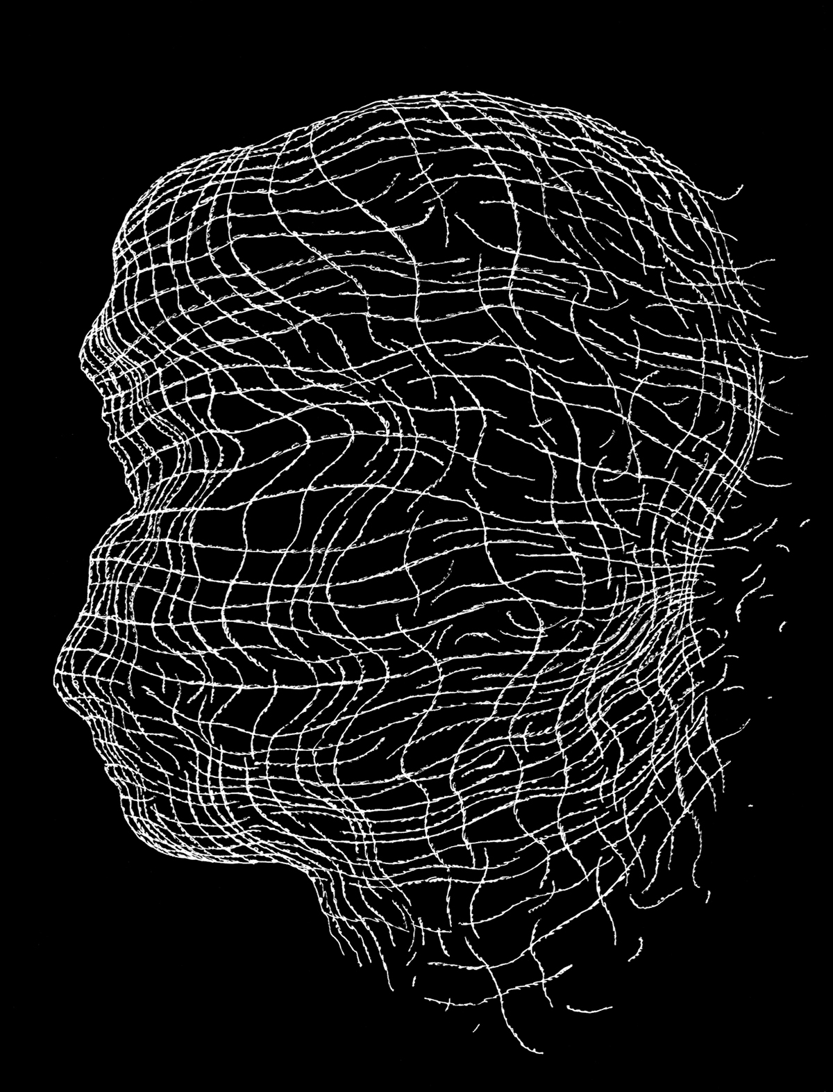 ILLUSTRATION  Drawing  portrait face doodle life human-being pen ink digital