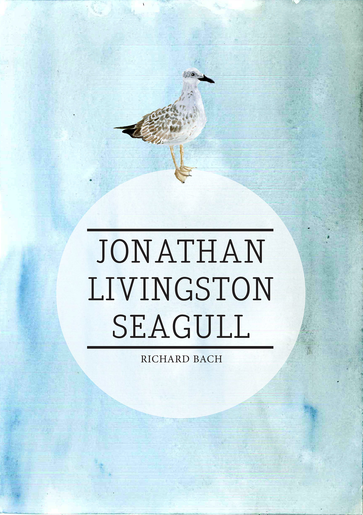 bird seagull gull book richard bach inspirational sea Fly flight