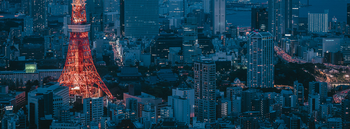 tokyo night light cityscape city japan fuji GFX 50S fujifilm